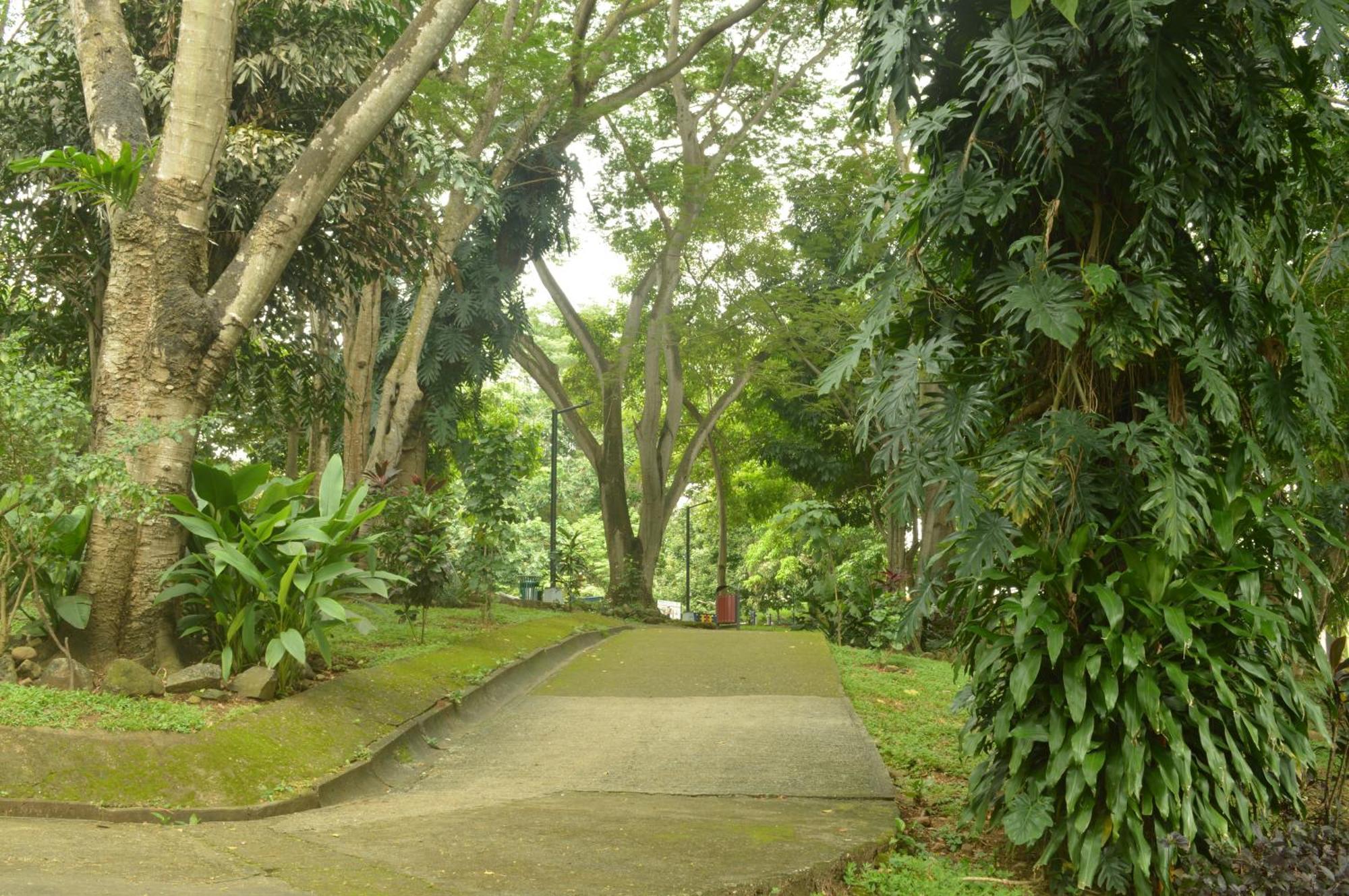 Totumas Lodge Panamaváros Kültér fotó
